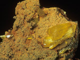 Legrandite Crystals on Limonite, Durango, Mexico