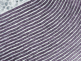 Golgi Apparatus Membranes