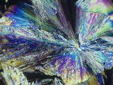 Buy Vitamin C (Ascorbic Acid) Crystals. Polarized at AllPosters.com