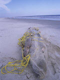 A Large Dead Shark Wrapped in Gill Net on a Beach