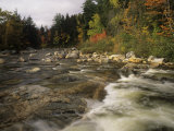 Autumn Colors Along the Swift River, White Mountains National Forest, New Hampshire, USA
