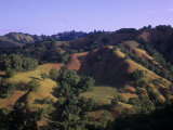 Rolling Hills of Sonoma Valley, Sonoma County, California, USA