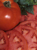 Buy Entire and Sliced Tomato, Celebrity Variety at AllPosters.com