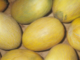 Buy Melon Variety Sharlyn at AllPosters.com
