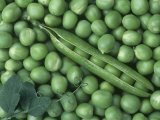 Peas, Frosty