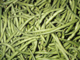 Buy Blue Lake String Bean Pods (Phaseolus Vulgaris). Native to Central and South America at AllPosters.com