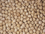 Buy Garbanzo Beans or Chick Peas (Cicer Arietinum). Native to the Middle East at AllPosters.com
