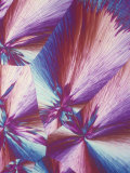 Vitamin C or Ascorbic Acid Crystals. Polarized Lm