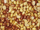 Buy Shelled Spanish Peanuts (Arachis Hypogaea). Native to South America at AllPosters.com