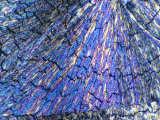 Cholesterol Crystals Viewed in Polarized Light