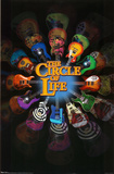 Circle of Life