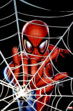 Buy Spider-Man at AllPosters.com