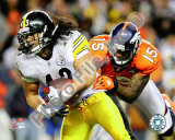 Troy Polamalu