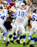 Buy Peyton Manning at AllPosters.com