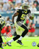 Jonathan Vilma