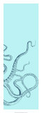 Octopus Triptych III