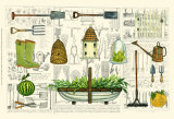 Garden Collection I