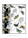 Aviary I
