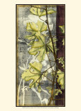 Leaf Medley I