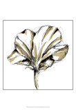 Buy Tulip Sketch IV at AllPosters.com