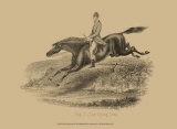 Buy The Flying Leap at AllPosters.com
