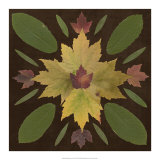 Kaleidoscope Leaves IV