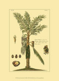 Buy Printed Exotic Palm VI at AllPosters.com