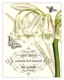 Jardin Botanique I