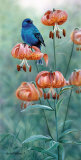 Indigo and Lilies