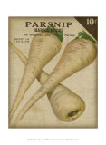 Buy Heirloom Variety IV at AllPosters.com