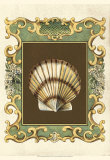 Mermaid's Shells IV