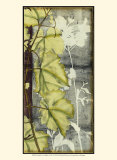 Leaf Medley II