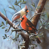 Cardinal