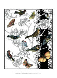 Aviary II