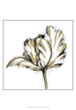 Buy Tulip Sketch III at AllPosters.com