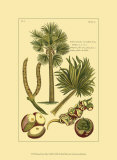 Buy Printed Exotic Palm I at AllPosters.com