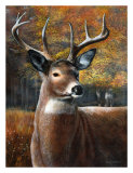 Buy Deer Head II at AllPosters.com