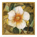 Buy White Magnolia I at AllPosters.com