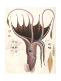 Buy Umbrella Squid, 1835 at AllPosters.com