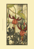 Mini Fuchsia and Silhouette VI