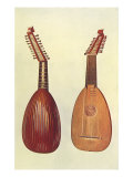 Buy Rare Italian Lute, 1888 at AllPosters.com
