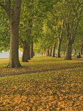 Autumn, Hyde Park, London, England, United Kingdom, Europe