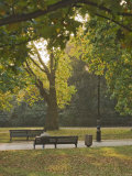 Autumn, Hyde Park, London, England, United Kingdom, Europe