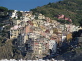 Buy Riomaggiore, Cinque Terre, UNESCO World Heritage Site, Liguria, Italy, Europe at AllPosters.com