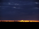Buy Ring of Brodgar Stone Circle at Sunset, Mainland, Orkney Islands, Scotland, UK at AllPosters.com