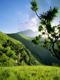 Champagne Castle Valley, Cathkin Peak, 3187M, South Africa, Africa