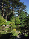 Japanese Tea Garden in the Golden Gate Park, San Francisco, California, USA