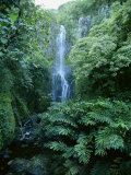 Buy One Hundred Foot Wailua Falls Near Oheo, Hana Coast, Maui, Hawaii, USA at AllPosters.com
