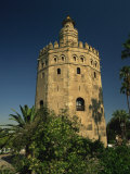 Torre Del Oro in the City of Seville, Andalucia, Spain, Europe