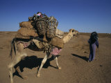 Buy Somali Camel Nomads Collecting Water, Ethiopia, Africa at AllPosters.com